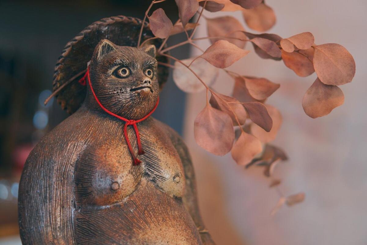 宿たぬきのねどこ Guesthouse Tanuki Chūbu Eksteriør bilde