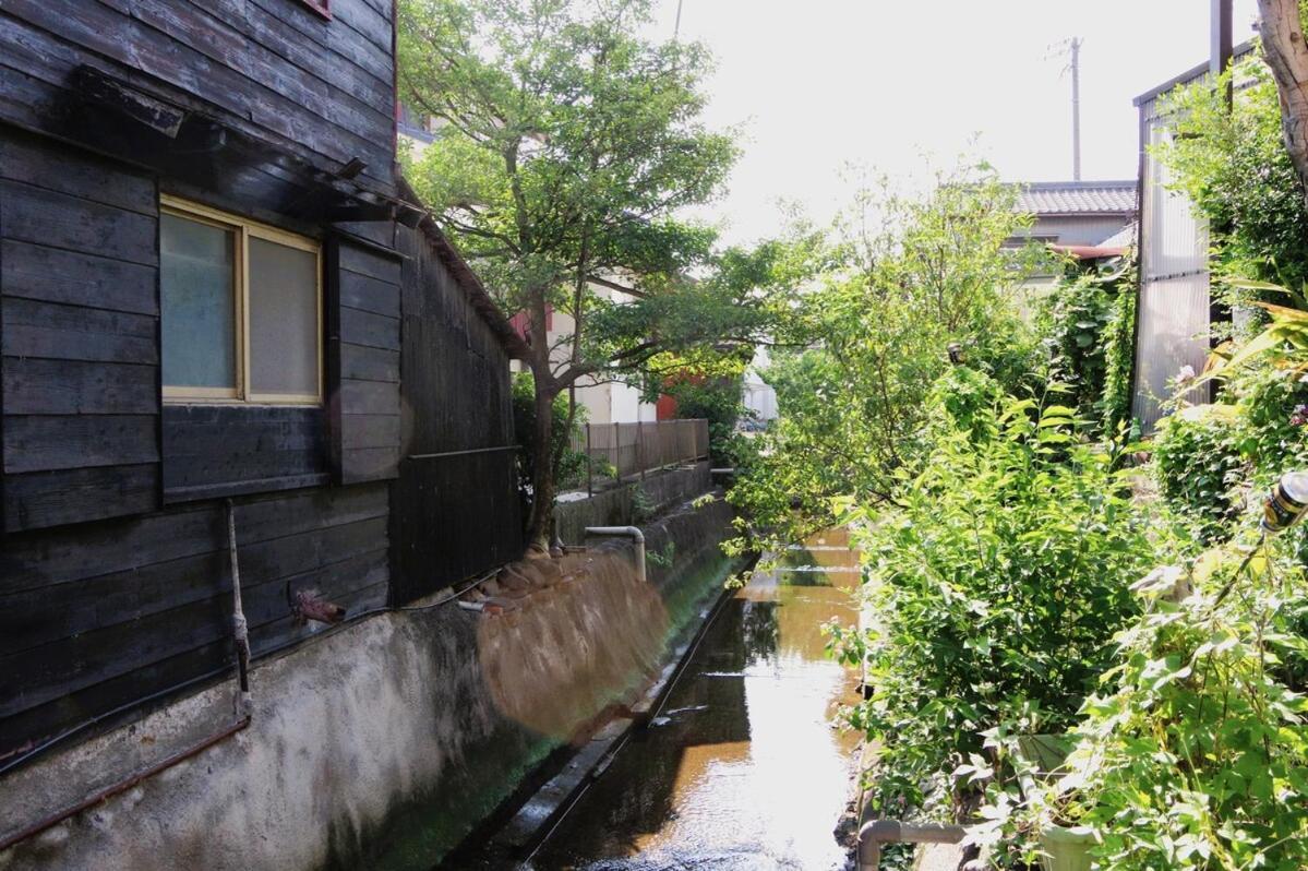 宿たぬきのねどこ Guesthouse Tanuki Chūbu Eksteriør bilde